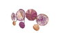 Wallity Metal Art 2 Multicolor